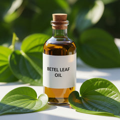  Betel Leaf Oil