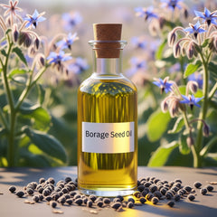 Borage Carrier Oil