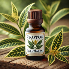 CROTON ESSENTIAL OIL