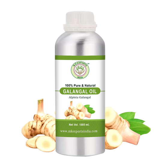 Galangal Oil