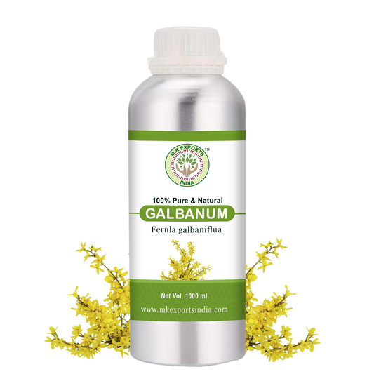 Galbanum-Essential-Oil