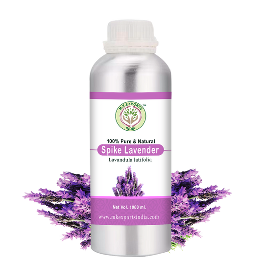 Spike Lavender Oil