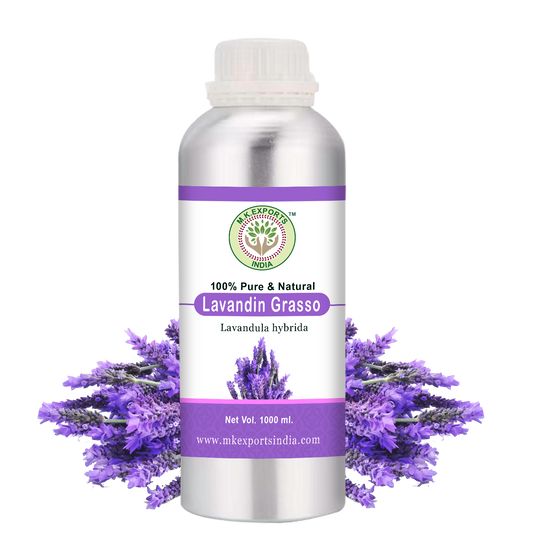 Lavandin grosso Oil - MK Exports India