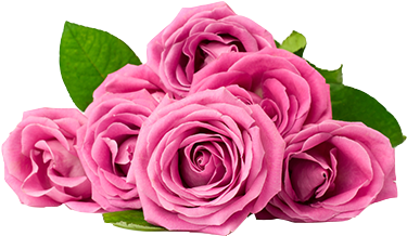Rose oi for soap and candle