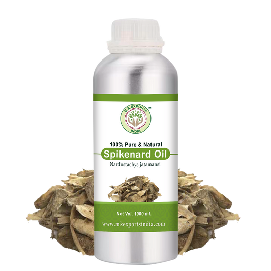 Spikenard jatamansi Oil