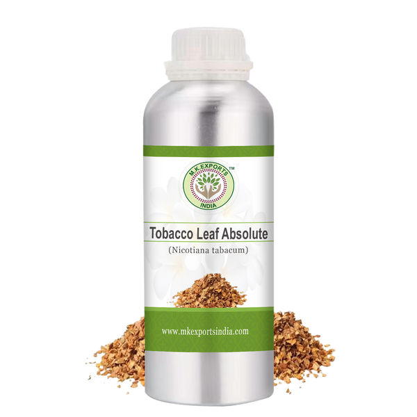 Tobacco Leaf Absolute 99% – MK Exports India