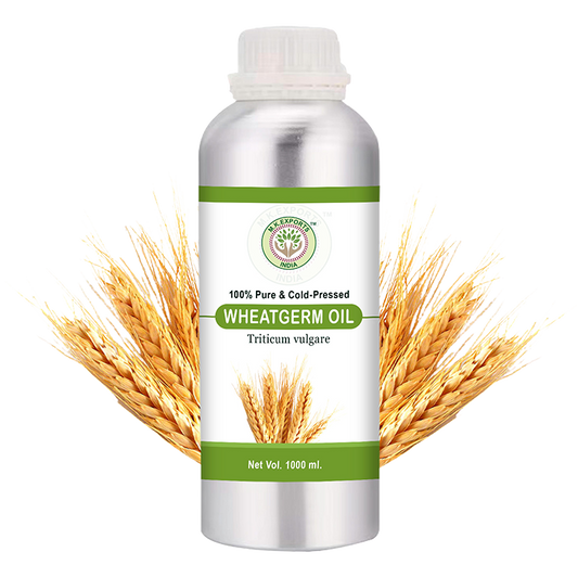 Wheat Germ Carrier Oil 